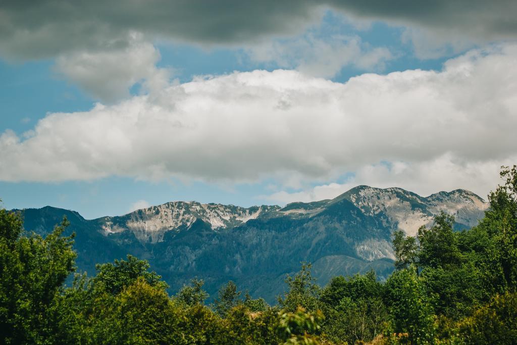 Pocitniska Hiska Pod Skalco Villa Kamnik Exteriör bild
